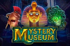 Mystery Museum